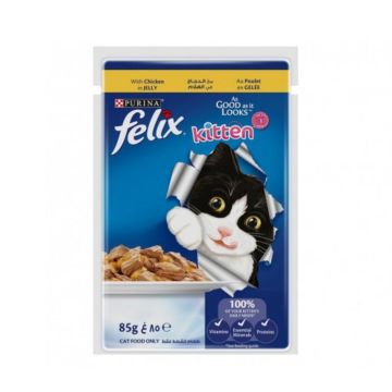 Felix As Good As It Looks Chicken in Jelly Kitten Wet Food - 85 g Pack of 12