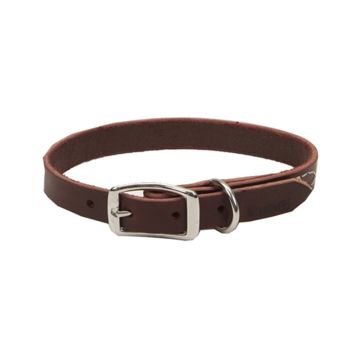 Alliance Products Leather Dog Collar