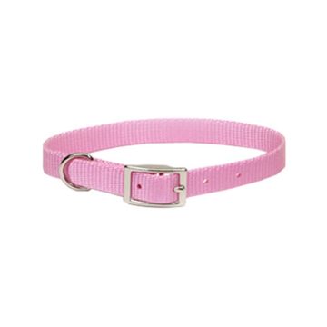 Alliance Products Nylon Dog Collar - Pink