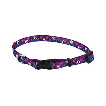 Alliance Products Nylon Paws Adjustable Dog Collar - 18-26 inch