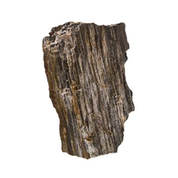 Aquadeco Glimmer Wood Rock