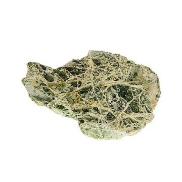Aquadeco Maple Leaf Rock, Green