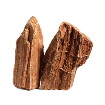 خشبة ستون وود متحجرة من آكواديكو، بني محمر