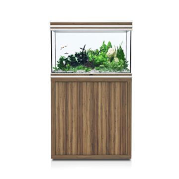 Aquatlantis FUSION 80, Aquarium with Cabinet - Zebrano - 80L x 40W x 83H cm
