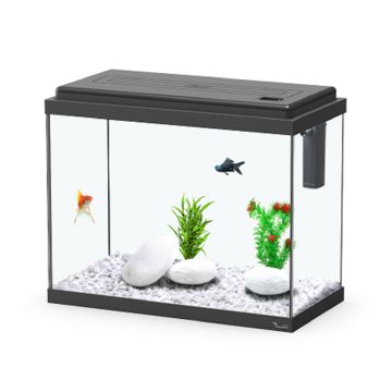 Aquatlantis KIT 50, Aquarium - Black - 50L x 25W x 40H cm
