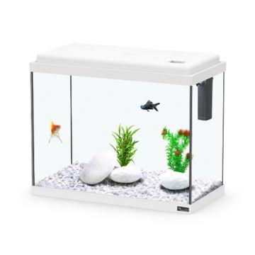 Aquatlantis KIT 50, Aquarium - White - 50L x 25W x 40H cm