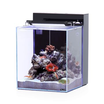 Aquatlantis Nano Marin 40 Aquarium, 36 L, Black - 32.9L x 34.8W x 42.8H cm