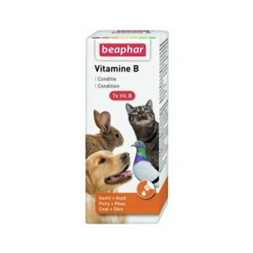 Beaphar Vitamin B - 50ml