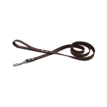 Beeztees Leather Dog Leash - Brown