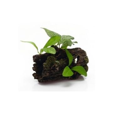 beeztees-polyresin-thick-tree-stump-with-plants