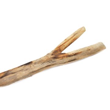 Beeztees Wooden Bird Branch