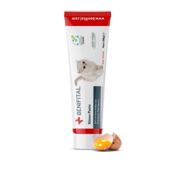 Benifital Multivitamin Paste for Kitten and Mother Cat - 100 g