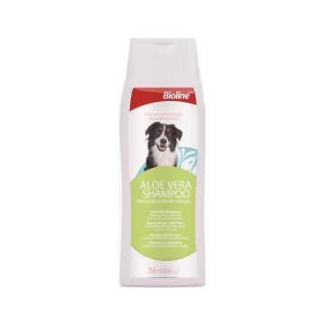 Bioline Aloe Vera Dog Shampoo, 250ml