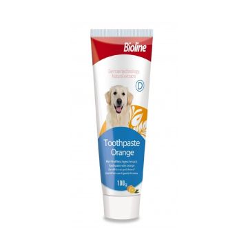 Bioline Orange Flavour Toothpaste for Dogs - 100g