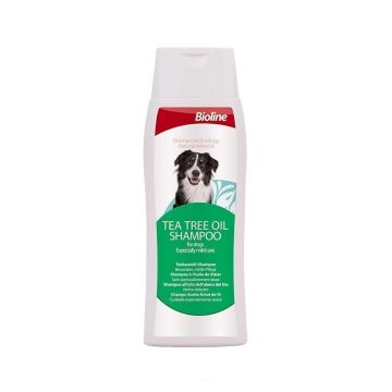 Bioline Tea Tree Shampoo for Dogs, 250ml