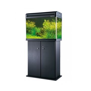 Boyu Elegance Aquarium with Cabinet, 68 Ltr - 60L x 40W x 50H cm