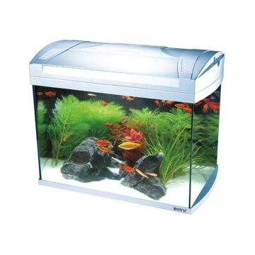 Boyu Series Small Aquarium Tank