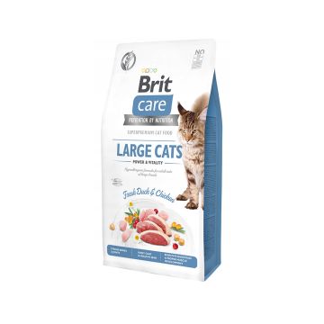 Brit Care Grain Free Power and Vitality Fresh Duck and Chicken Large Dry Cat Food - 2 Kg