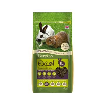 Burgess Excel Adult Rabbit Nuggets with Mint - 1.5 Kg