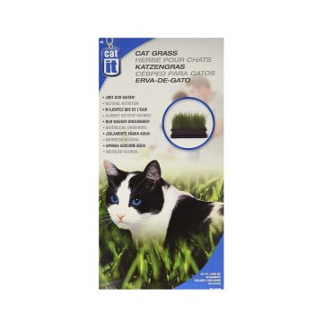 cat-it-cat-grass