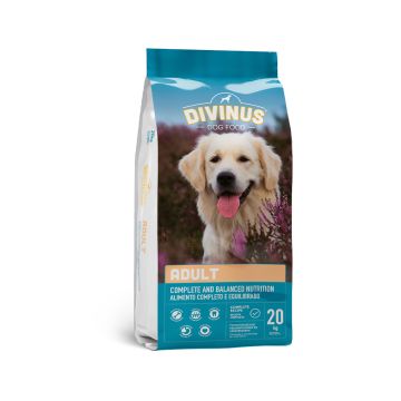 Divinus Adult with Chicken Dry Dog Food - 20 kg