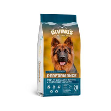 Divinus Performance with Chicken Dry Dog Food - 20 kg