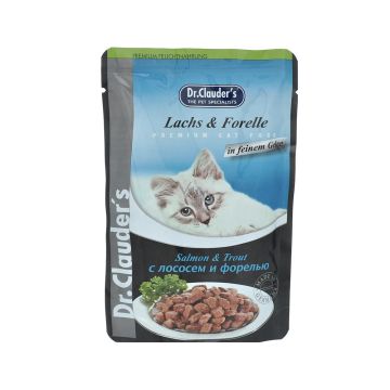 Dr.Clauder's High Premium Salmon & Trout Wet Cat Food - 100 g