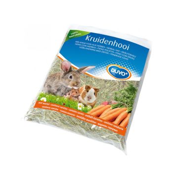 Duvo+ Herbal Hay Carrots for Small Pets -  500 g