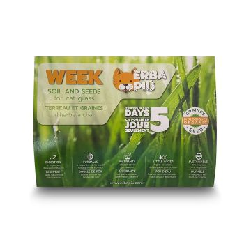 Erba Piu Week Soil and Seeds Kit for Cat Grass