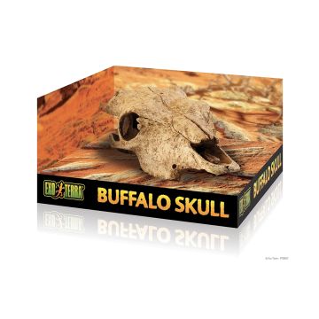 Exo Terra Buffalo Skull 