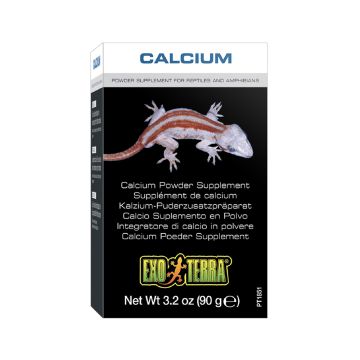 Exo Terra Calcium Powder Supplement - 90g