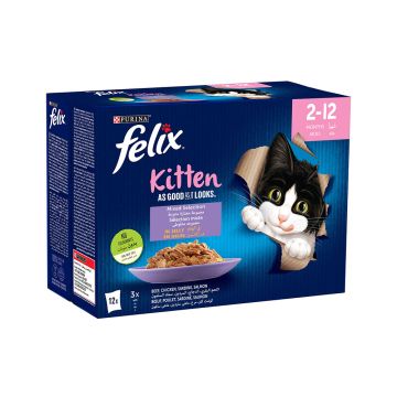طعام القطط الصغيرة بالجلي بعبوات متعددة من فليكس  