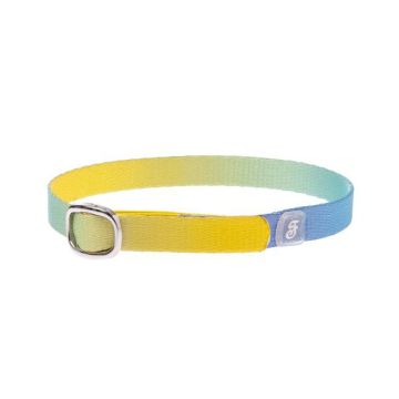 Ferribiella Rainbow Cat Collar