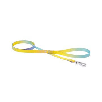 Ferribiella Rainbow Dog Leash