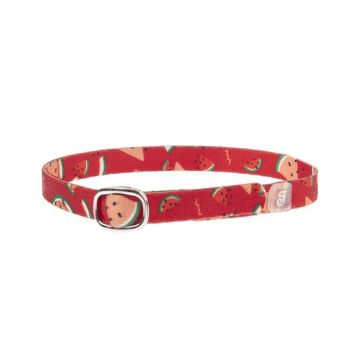 Ferribiella Watermelon Cat Collar