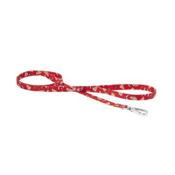 Ferribiella Watermelon Dog Leash