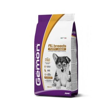 Gemon All Breeds Puppy and Junior Chicken and Rice Dry Puppy Food