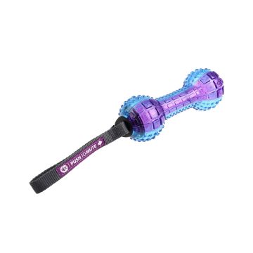 GiGwi Dumbbell Transparent ‘Push To Mute’ Dog Toy - Purple/Blue