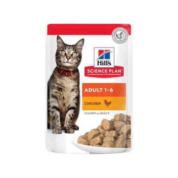 Hill's Science Plan Chicken Chunks and Gravy Wet Cat Food - 85 g