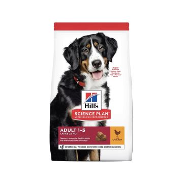 Hill's Science Plan Large Breed Adult Dog Food With Chicken - 18 Kg