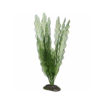 Hobby Aponogeton Artificial Plant - Large