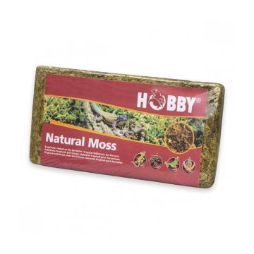 Hobby Natural Moss - 100g