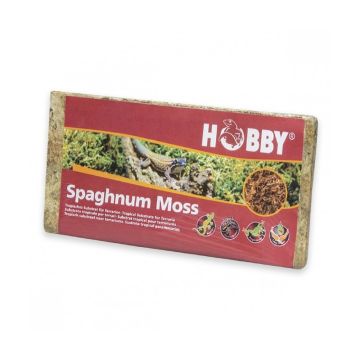 Hobby Spaghnum Moss - 100g