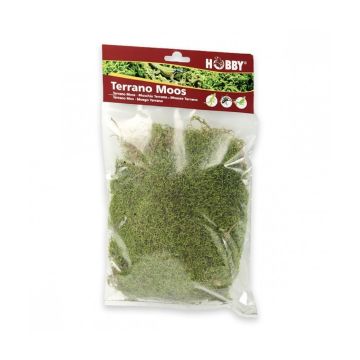 Hobby Terrano Natural Moss