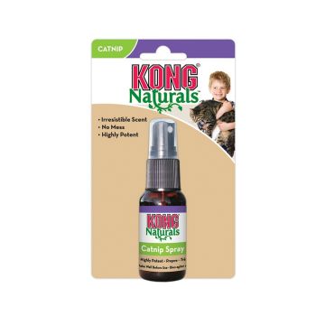 Kong Catnip Cat Spray - 1 oz
