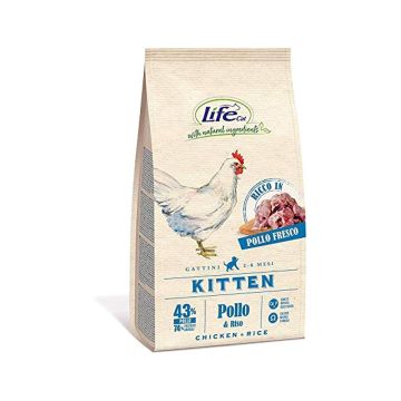 Life Cat Chicken and Rice Kitten Dry Food -  400 g
