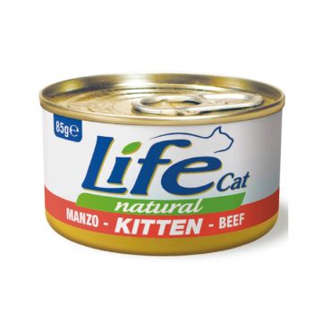Life Cat Natural Beef Canned Kitten Food - 85g