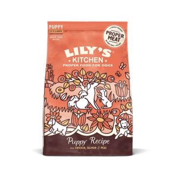 Lily's Kitchen Puppy Recipe with Chicken - Salmon & Peas Dry Dog Food - 1 Kg