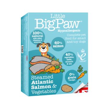 Little Big Paw Steamed Atlantic Salmon & Vegetable Terrine Dog Food - 150g