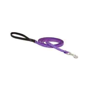 lupine-pet-originals-padded-handle-lead-for-small-dog-and-cat-jelly-roll